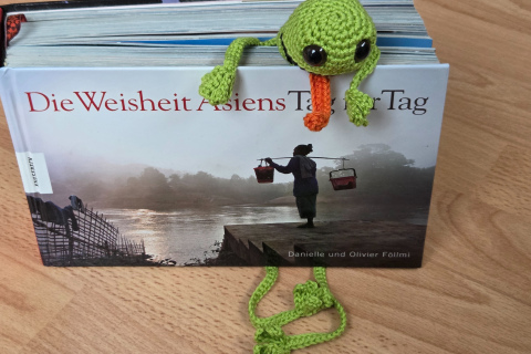 Buchzeichen Frosch