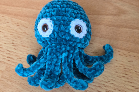 Oktopus / Tintenfisch