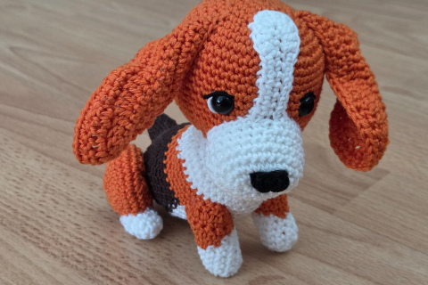 Beagle