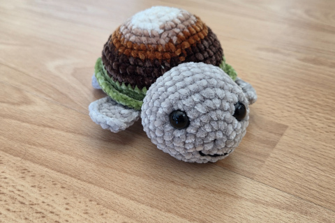 Schildkröte