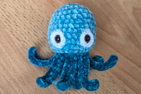 Oktopus / Tintenfisch