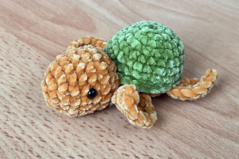 Schildkröte