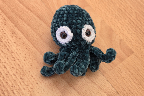 Oktopus/ Tintenfisch