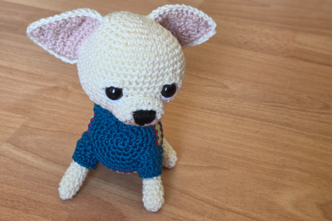 Chihuahua