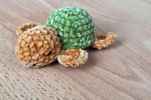 Schildkrötli