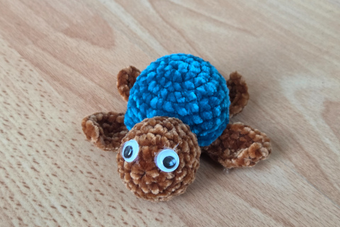 Schildkröte