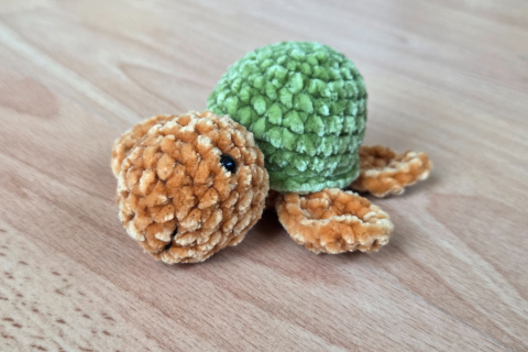 Schildkröte