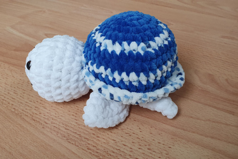 Schildkröte blau