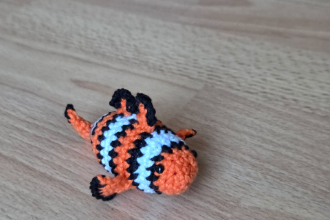 Clownfisch Nemo