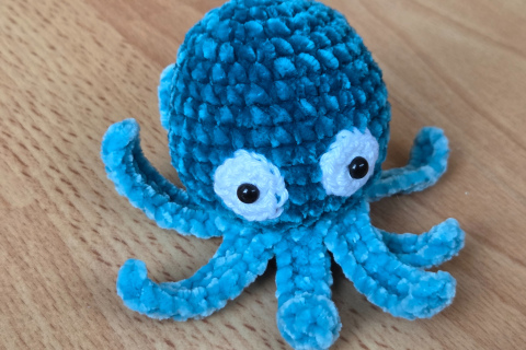 Oktopus / Tintenfisch