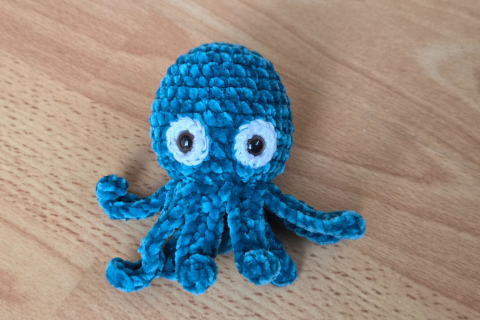 Oktopus / Tintenfisch