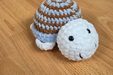 Schildkröte hellblau, braun