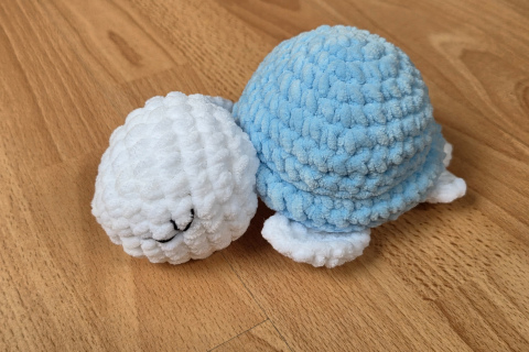 Schildkrötli hellblau